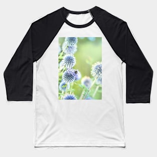 Globe thistles and a bee Baseball T-Shirt